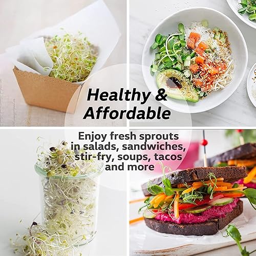 Miniatura 7 de Kit de tarros de germinación de semillas 2 tarros de masón de boca ancha con tapas de germinación de acero inoxidable 316, bandeja de goteo y