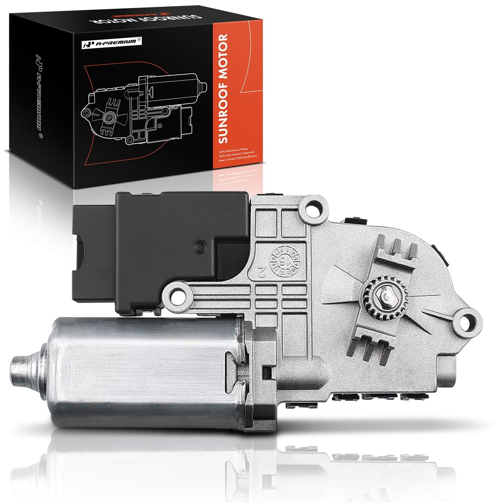 EMP サンセベリア ブアカーオ / SA391 EMP サンセベリア ブアカーオ