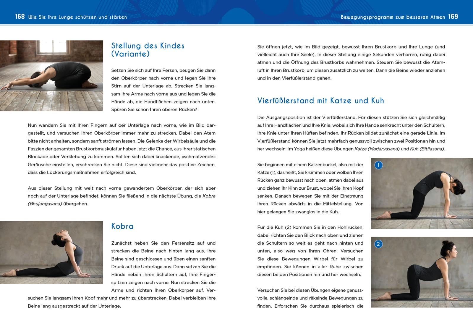Neustart für die Lunge: Wie Sie das lebenswichtige Organ reinigen, stärken und verjüngen. Mit den besten Methoden für eine gesunde und widerstandsfähige Lunge: 3
