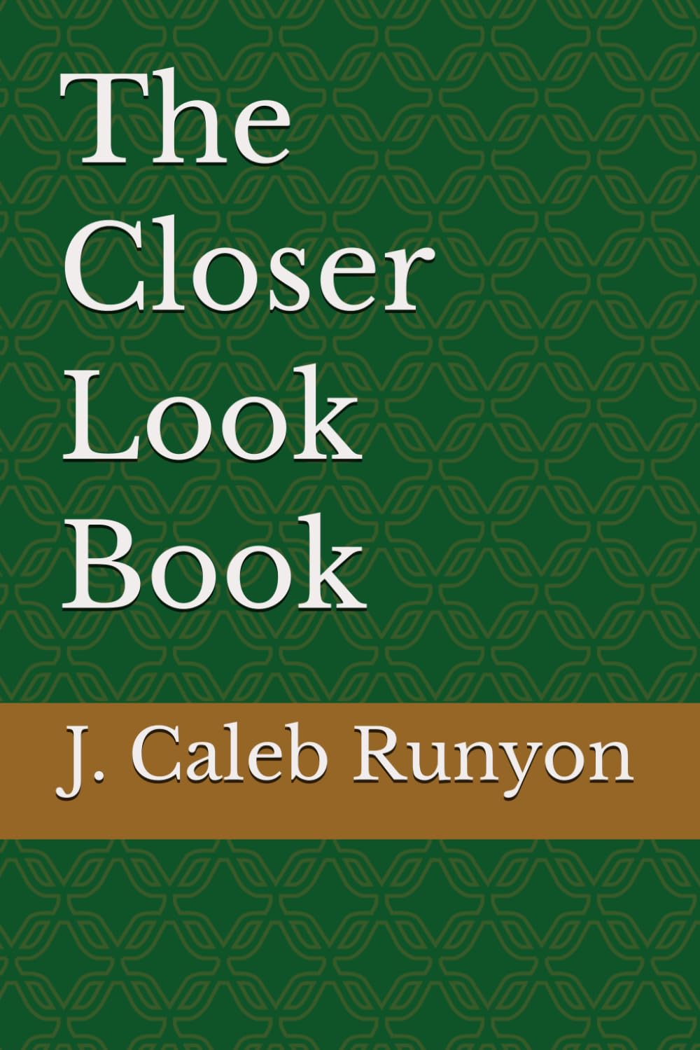The Closer Look Project: Learning Program Workbook
