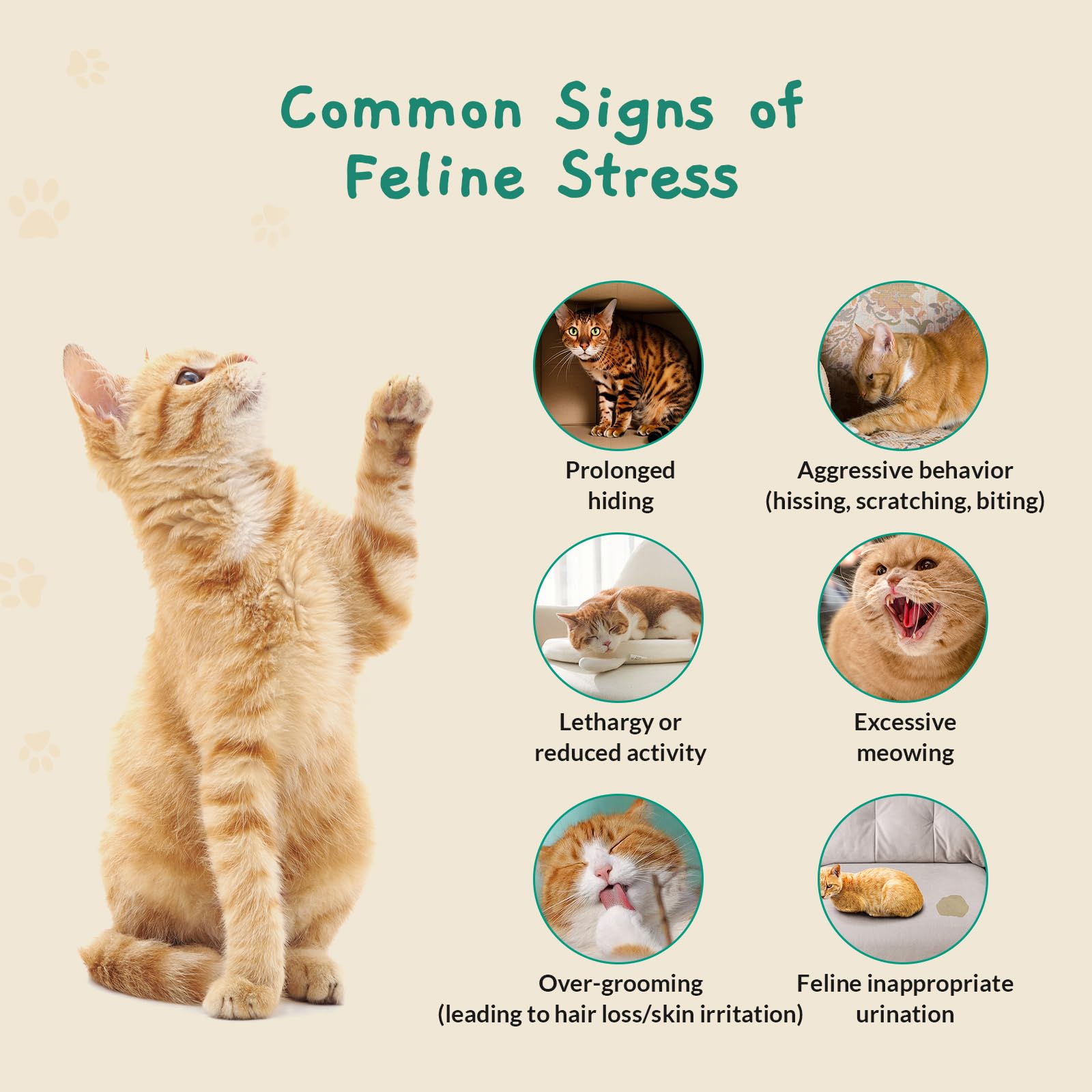 Diffuseur apaisant pour chat – Diffuseur de phéromones pour chats et chatons pour réduire l'anxiété et les comportements liés au stress, pas d'électricité nécessaire, aide apaisante améliorée