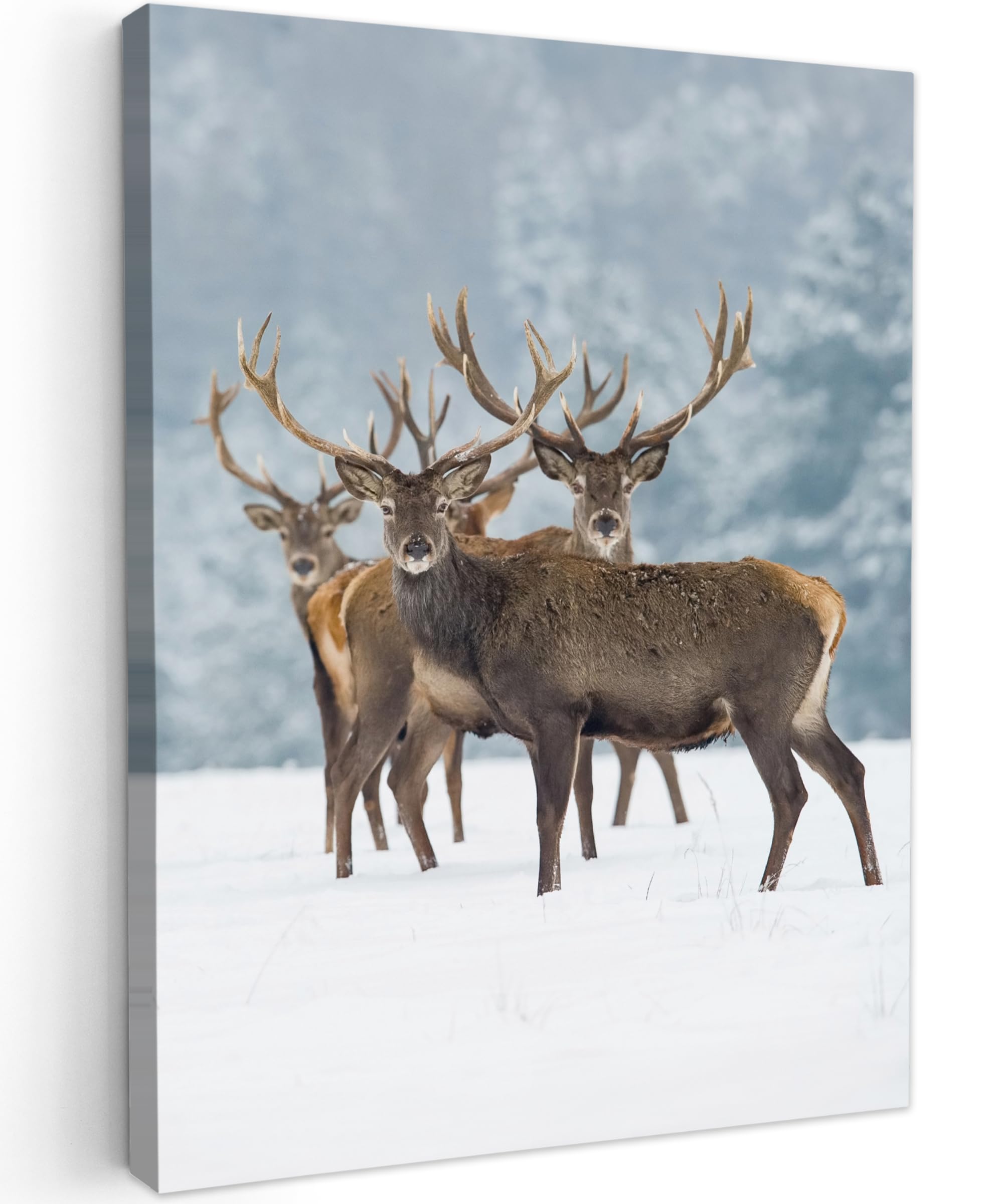 MuchoWow© Canvas Wall Art 20"x28" / 50x70 cm Decor Paintings Print framed on Canvas Pictures for Hallway Deer - Animals - Snow - Winter - Landscape - Nature — image 1