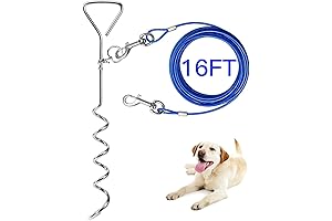 EvilplanDog 16ft Dog Stake and Leash