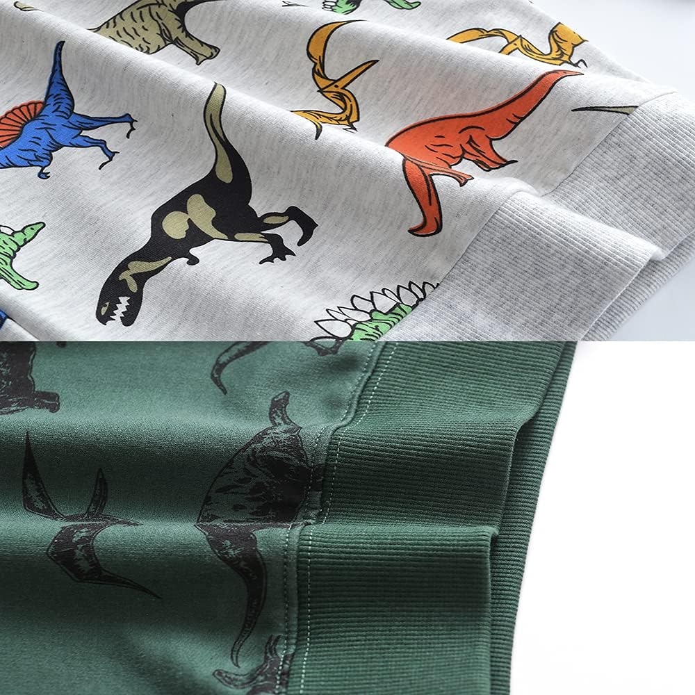 Baby Boy Dinosaurs Round Neck Cotton Long Sleeve Pullover Sweatshirt - Image 4