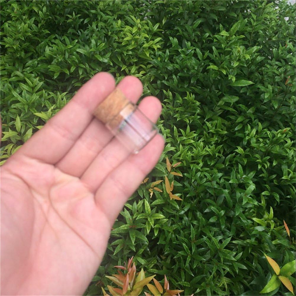 4ml 22x25mm Mini Bottles Glass Test Tube Jar Storage for Sand Liquid Food Gift DIY Bottles 100pcs (100, 4ml)