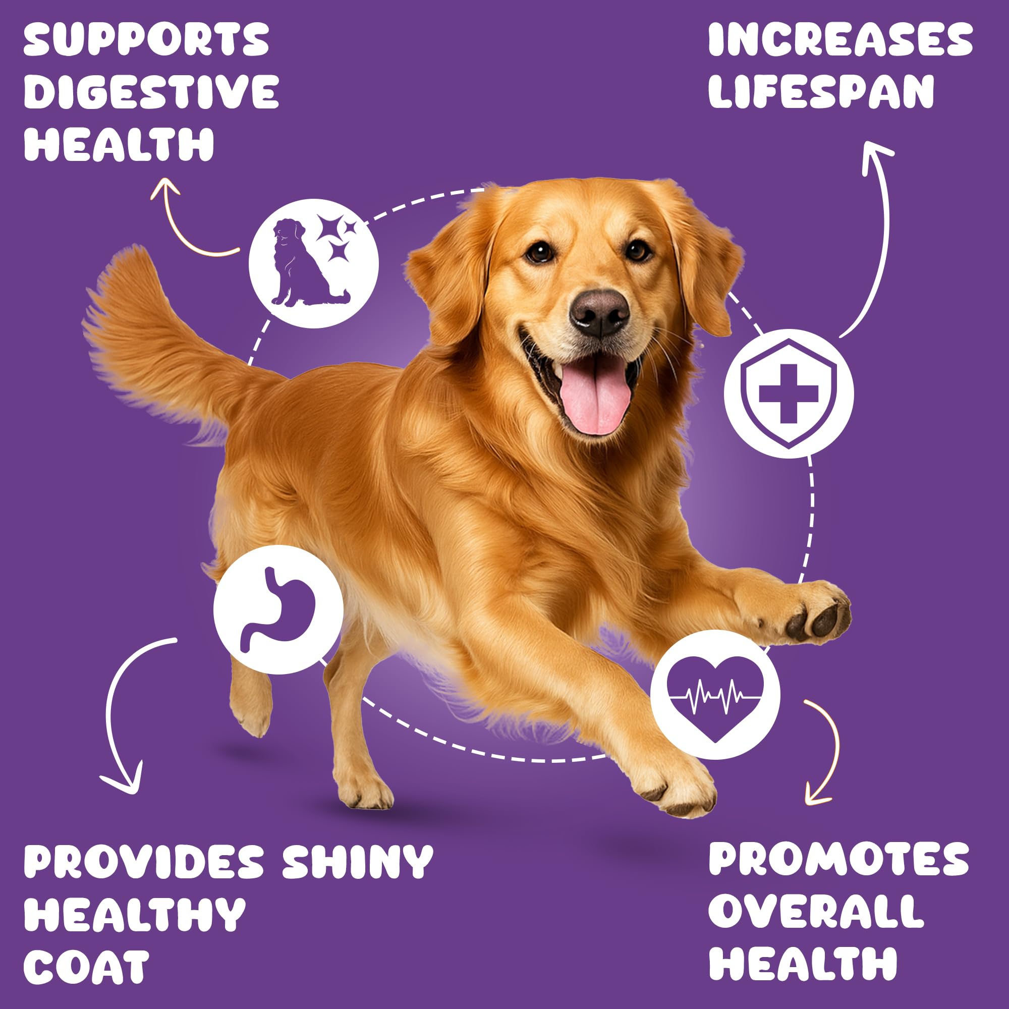Pawpeye Wet Dog Food Weekly Box-Lamb(Mutton) & Blueberry Flavour | 7 Packs x 100g, 700g | for Adult Dogs & Puppies | Vet-Formulated, Human-Grade, Grain & Preservative-Free, 100% Natural 4