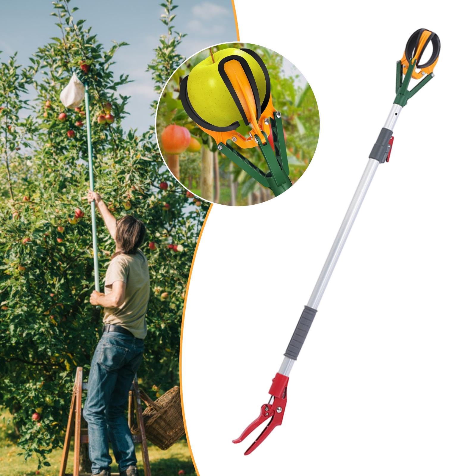 Cueille-fruits Léger En Alliage D'aluminium avec Manche Télescopique et Protège-griffes, Idéal pour Les Poires, Réglage de 1.1 M à