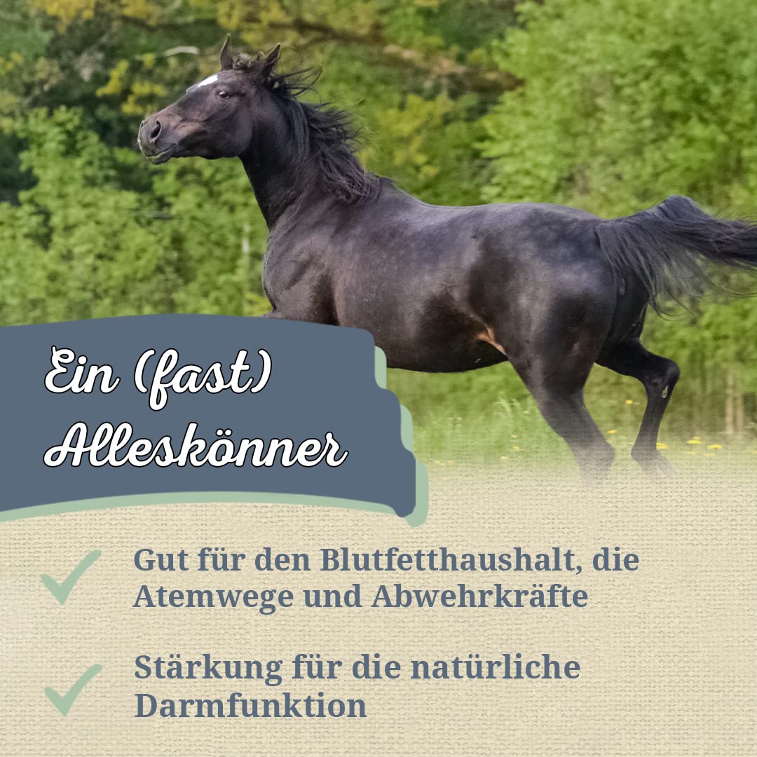 Krauterie Knoblauch für Pferde, Flocken (2000 g)