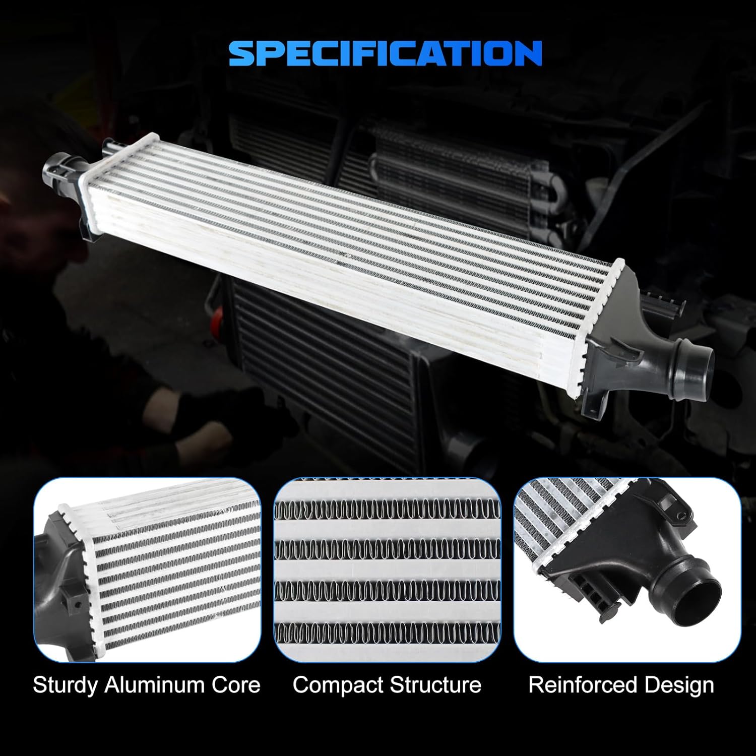 真作】絵画 柴田御也子 日本画6号 牡丹図 白土会会員作品 X21 真