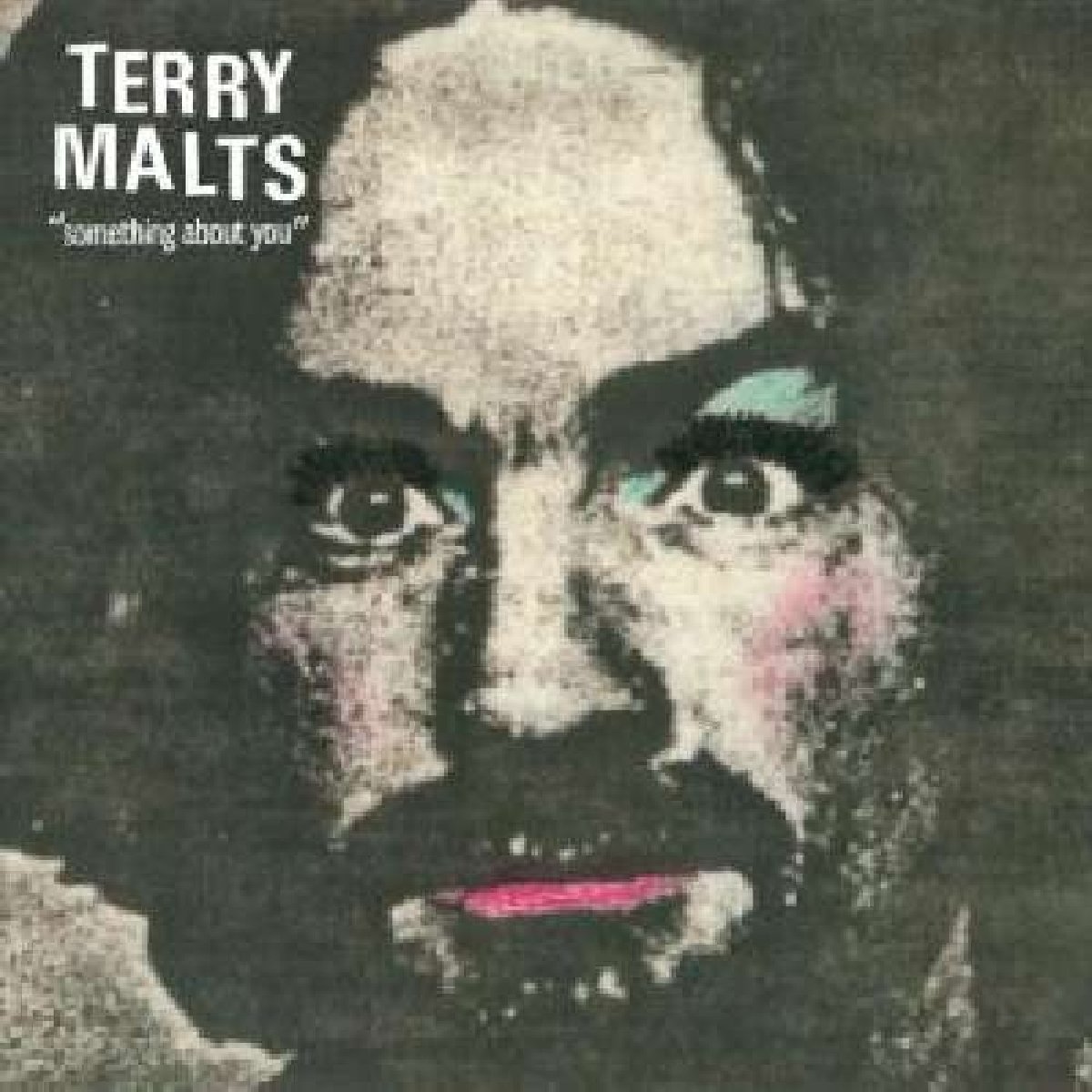Something about You by Terry Malts (Record, 2011)