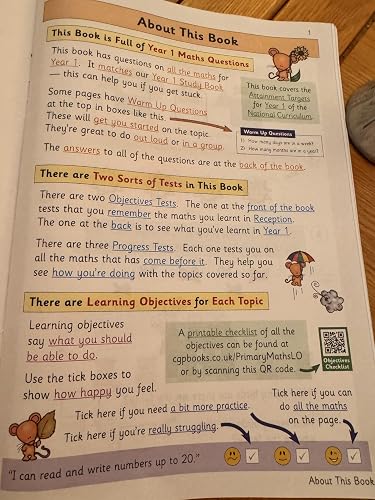 KS1 Maths Year 1 Targeted Question Book: Recommendations for ...