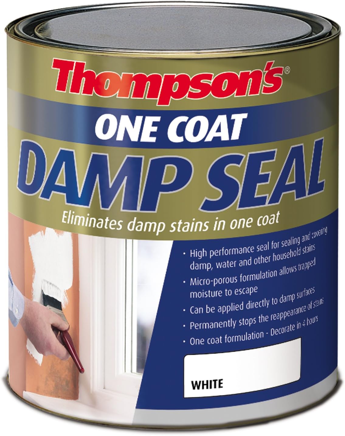Ronseal One Coat Damp Seal White 750ml Amazon.co.uk DIY & Tools