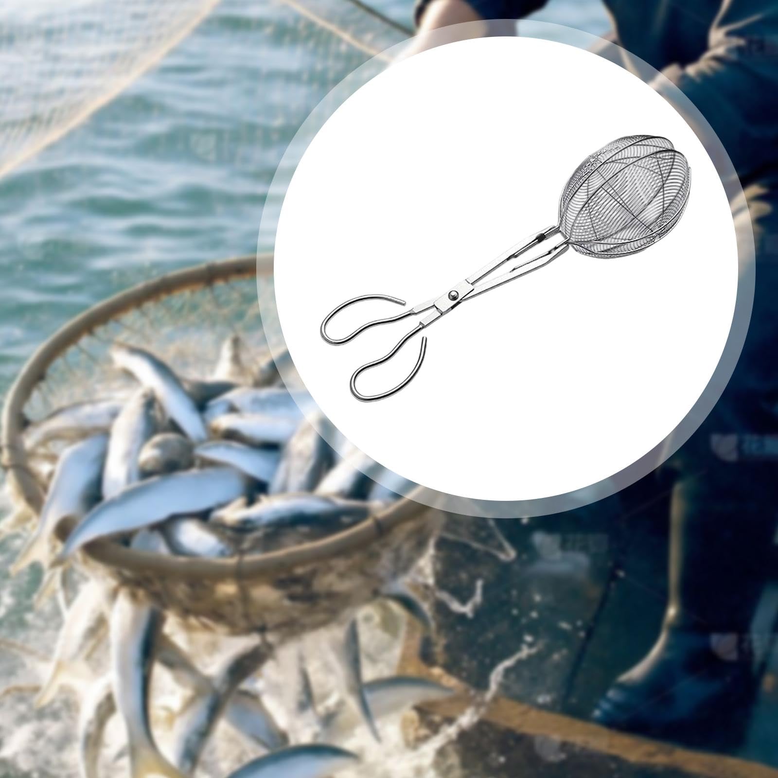 Fischzange Edelstahl Fischklammer Leicht Bedienbare Fischkontrollzange Verstärkte Struktur Praktisches Krabbenfangtool für Geschenk Angeltraining Pick