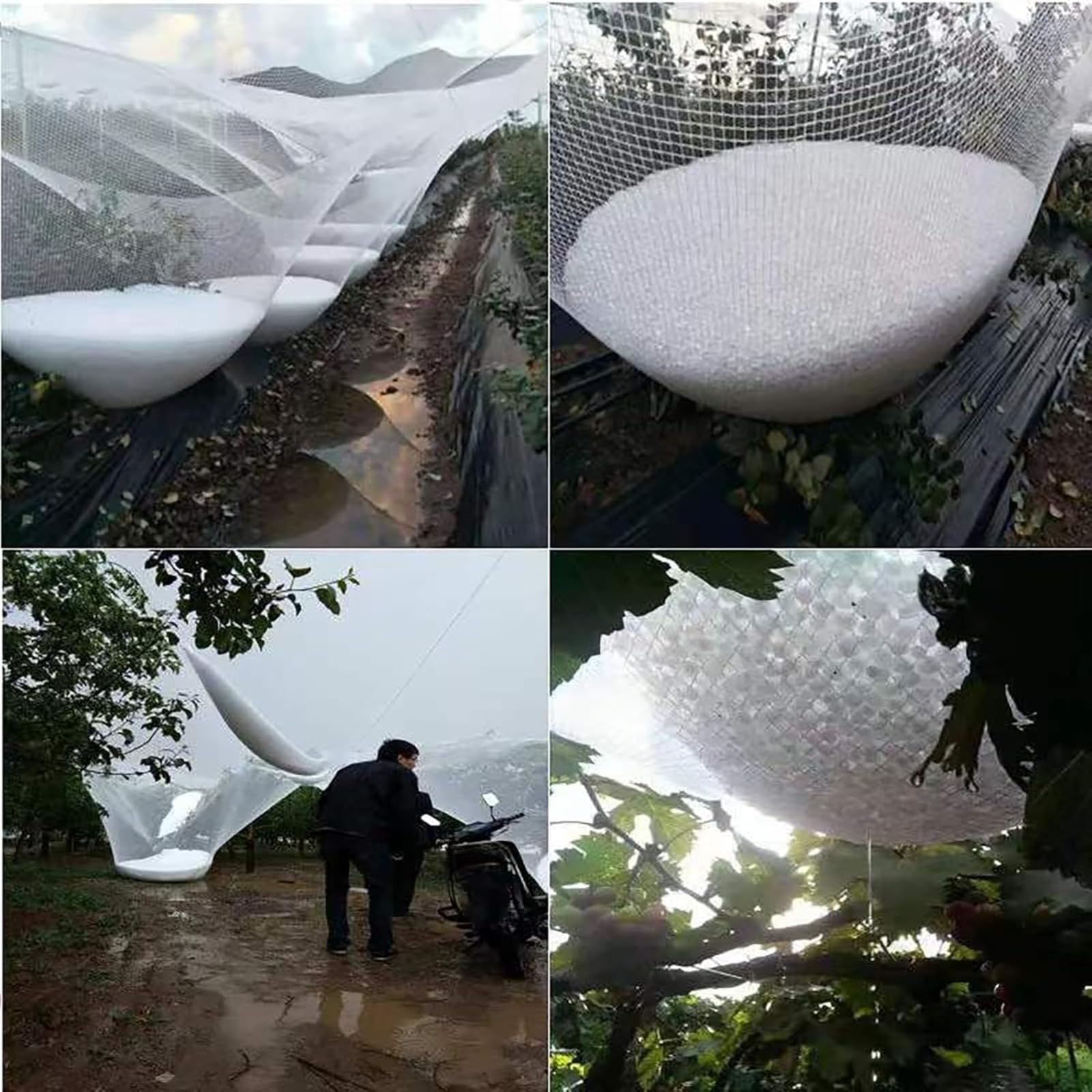 Red antigranizo para plantas, jardines y árboles, 5 mm de grosor, reutilizable y cortable, protección perfecta para frutas y verduras, ideal para invernaderos y huertos