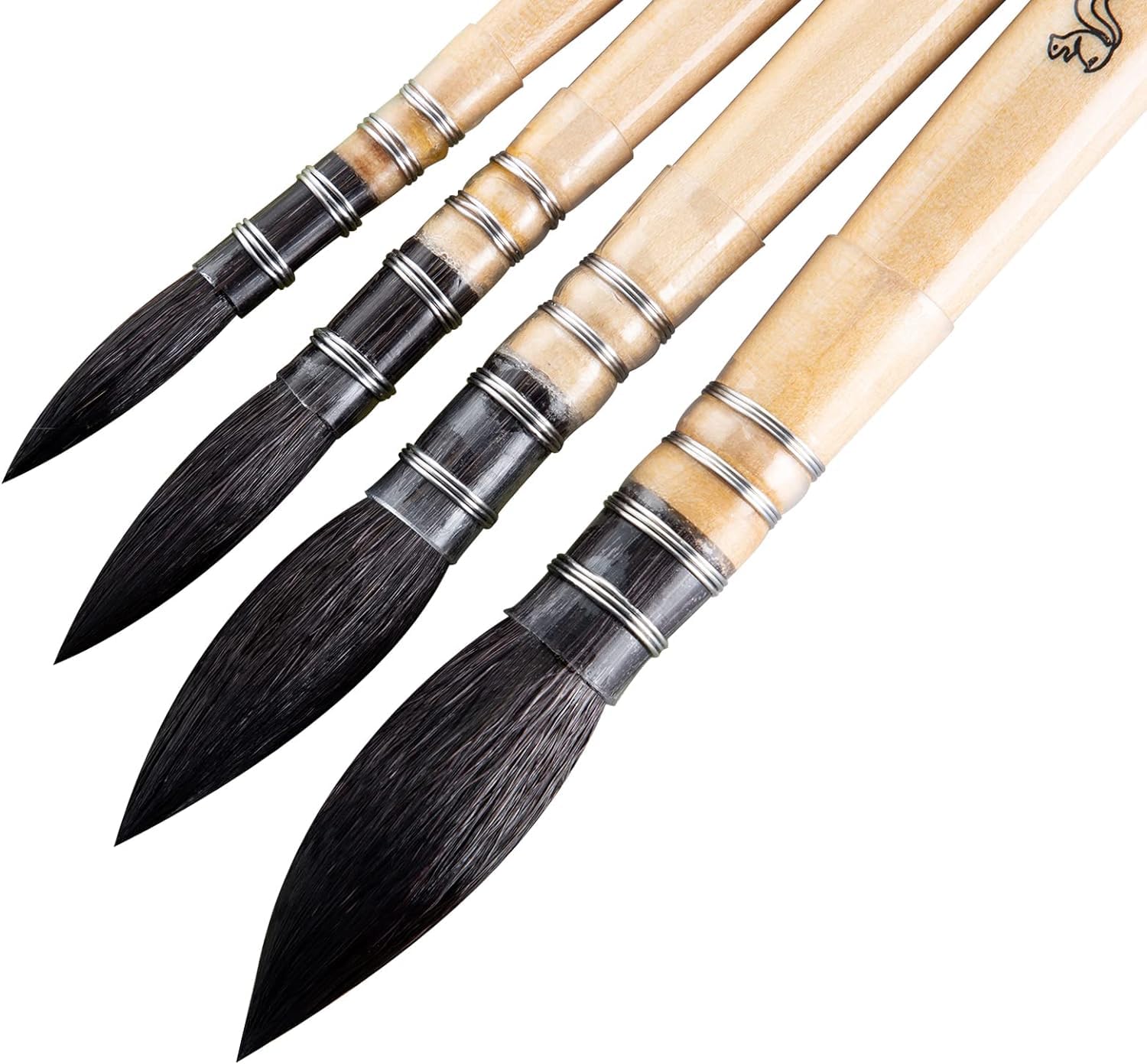 COOZEE Pinceles para artistas, pinceles profesionales de acuarela de pelo de ardilla natural, juego de pinceles redondos y puntiagudos perfectos para acuarela, pintura acrílica gouache (4 pinceles)