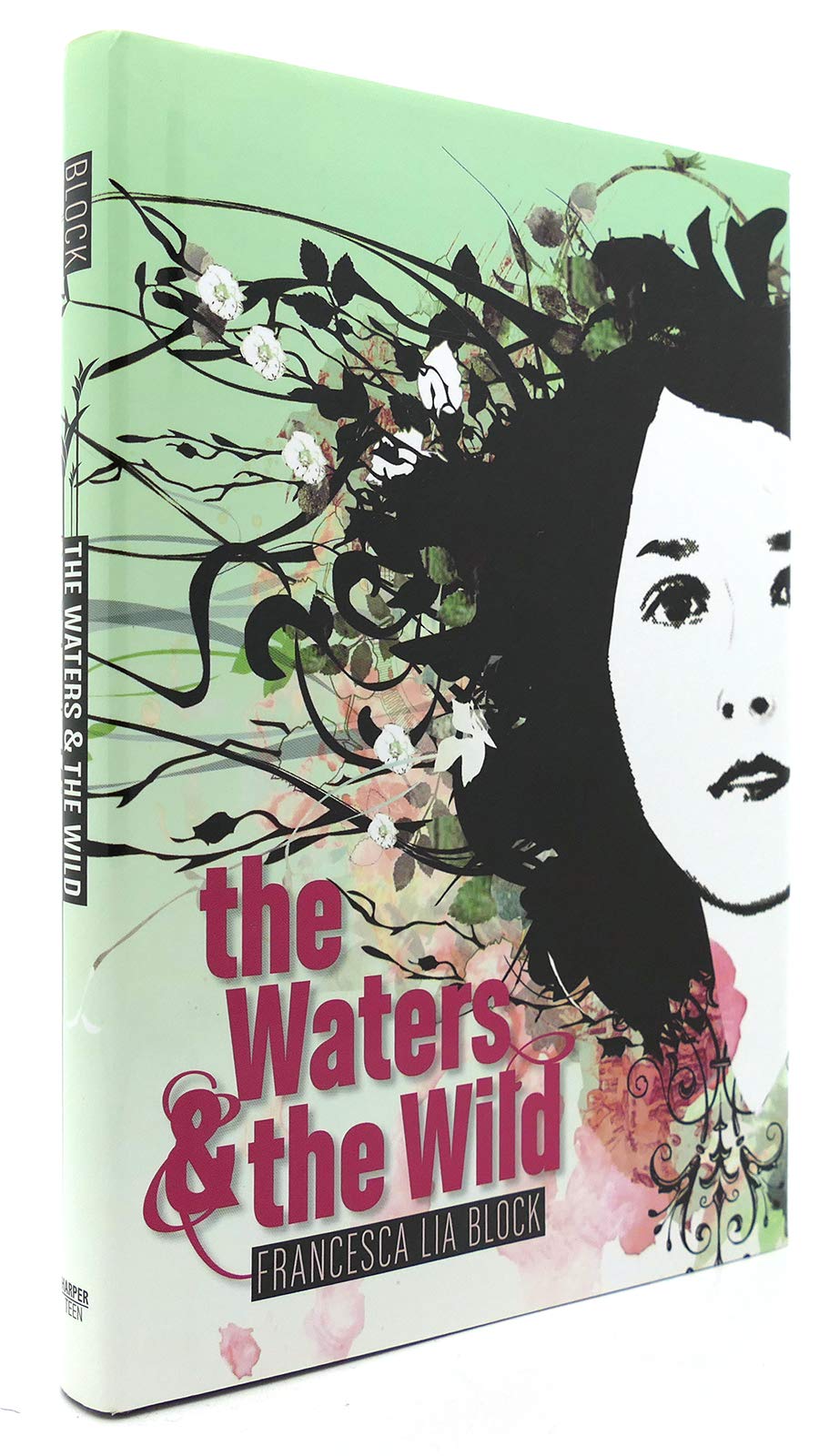 The Waters & the Wild