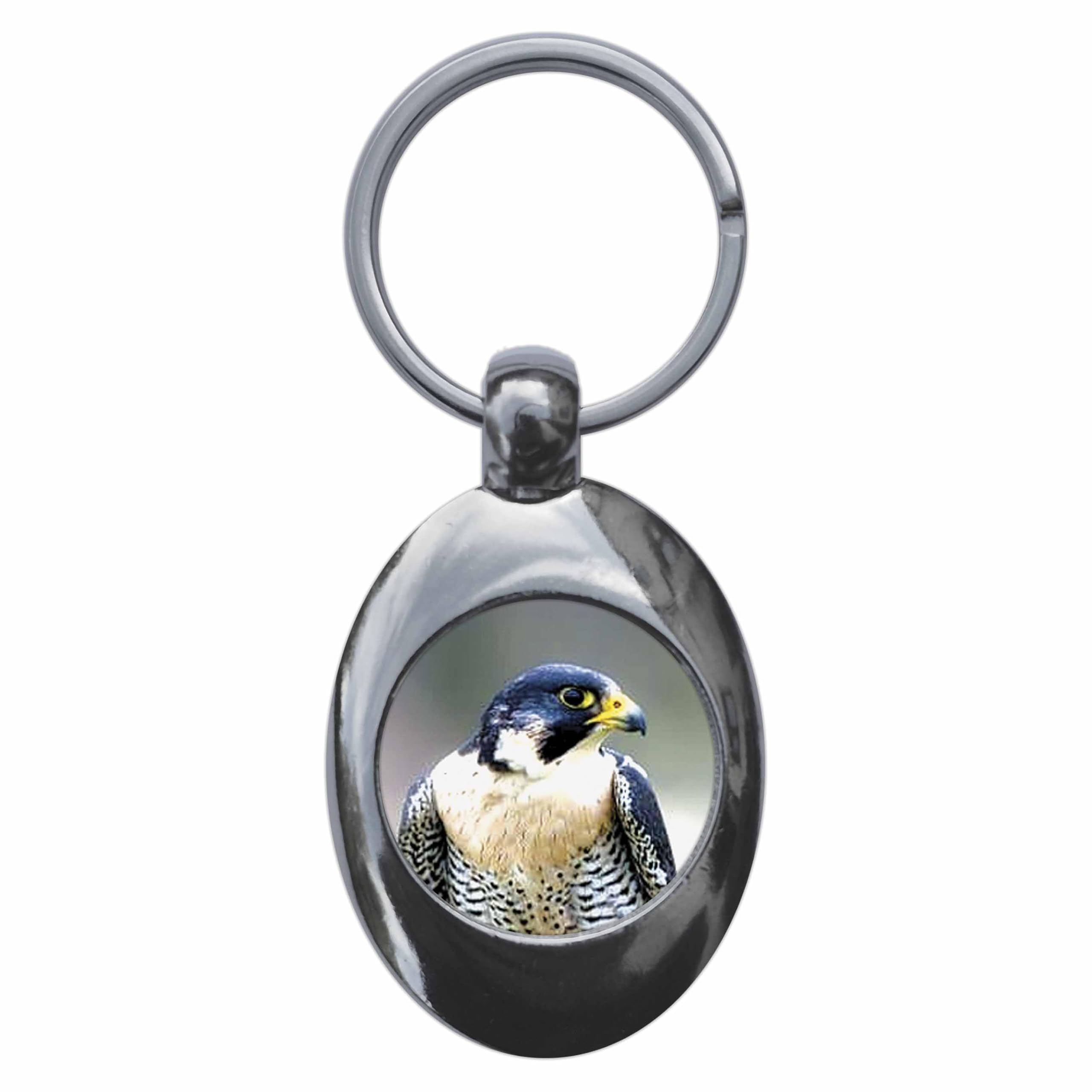 Ozorath Peregrine Falcon Keyring Keychain Key Ring Chain With Trolley Coin