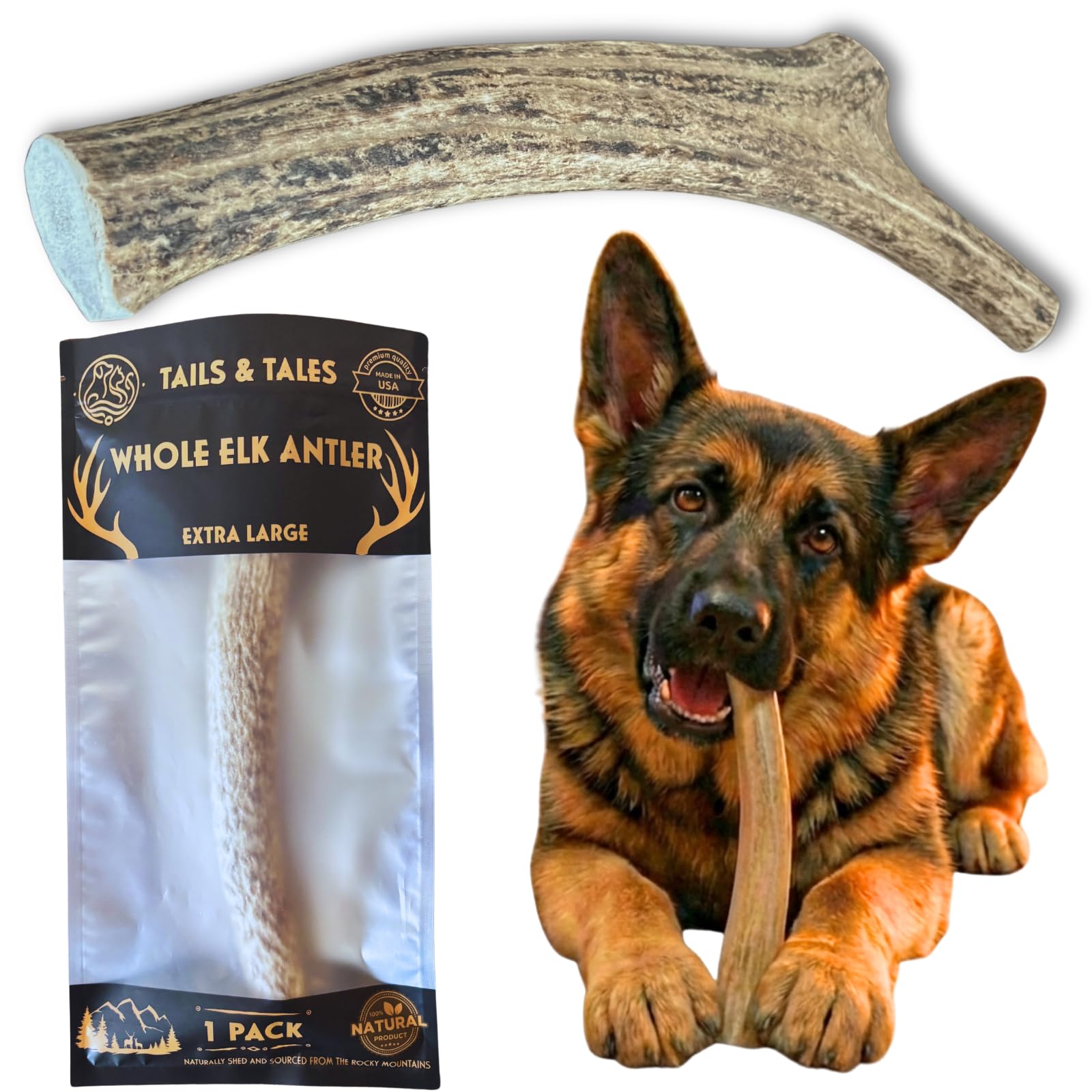 X-Large Whole Elk Antler for Dogs, 8-10" Dog Bones for Aggressive Chewers