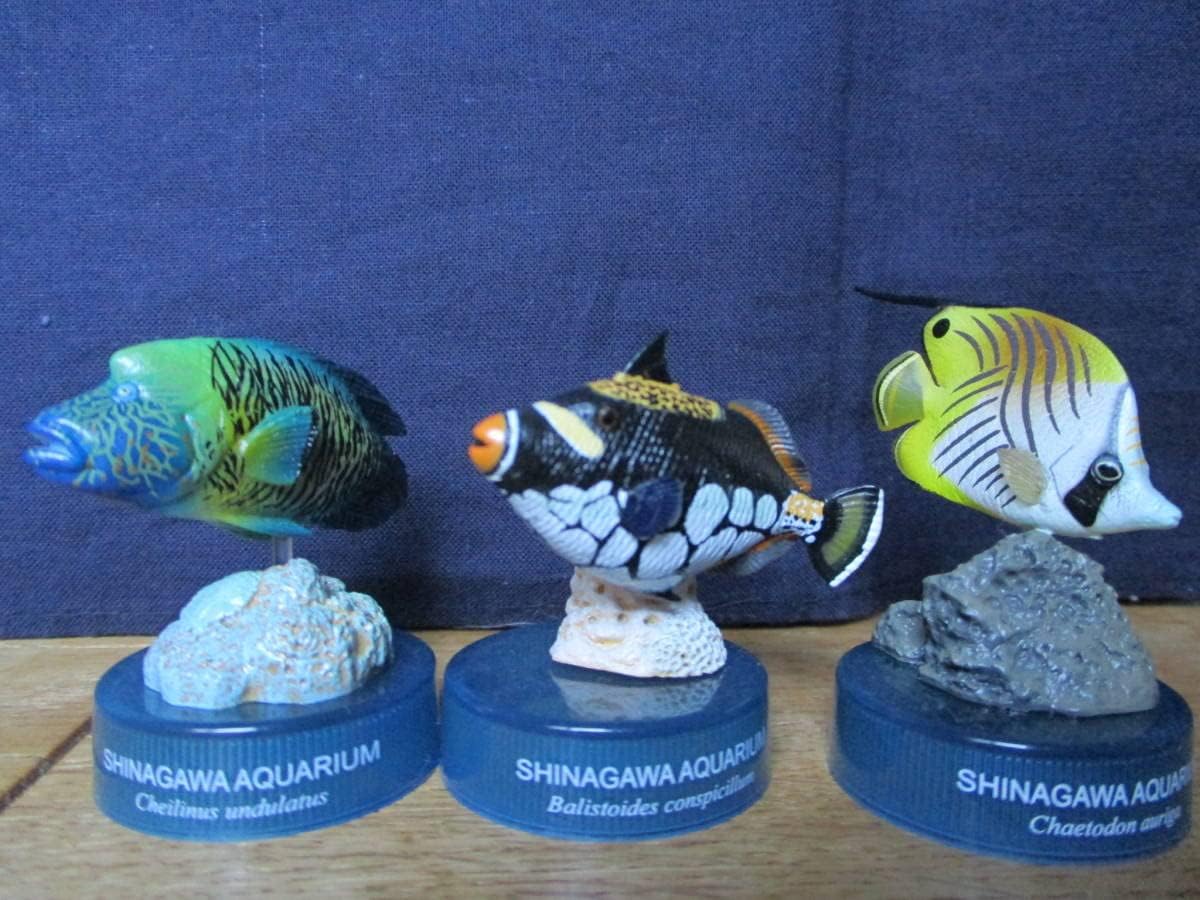 秋の収穫祭】日本水族館立体生物図録 第4巻〈全14種〉フル