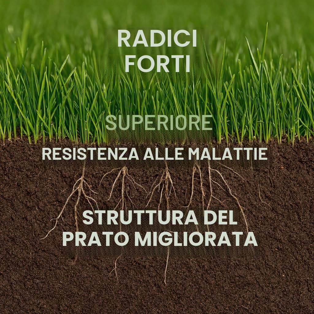 GiDeli Solfato di ferro 5 kg eptahidrato ortensia fertilizzante per il giardino e l'agricoltura FeSO4