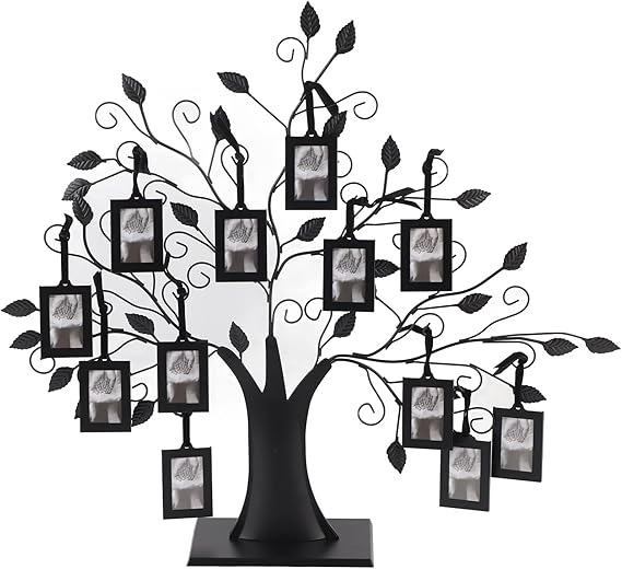 Family Tree Photo Frame, 6 Hanging/12 Hanging Photos Display Family Photos Frame Display Tree