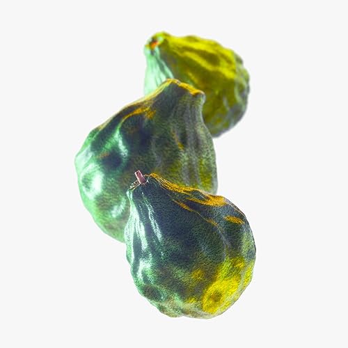 Miniatura 3 de Tommy Hilfiger Tommy Now - Eau de Toilette en espray para hombre, 3.4 oz