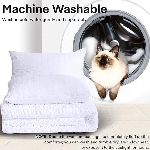 Miniatura 7 de AveLom - Juego de edredón de sirsaca, California King (104 x 96 pulgadas), 3 piezas, 100% microfibra suave lavada, ligero con 2 fundas de almohada,