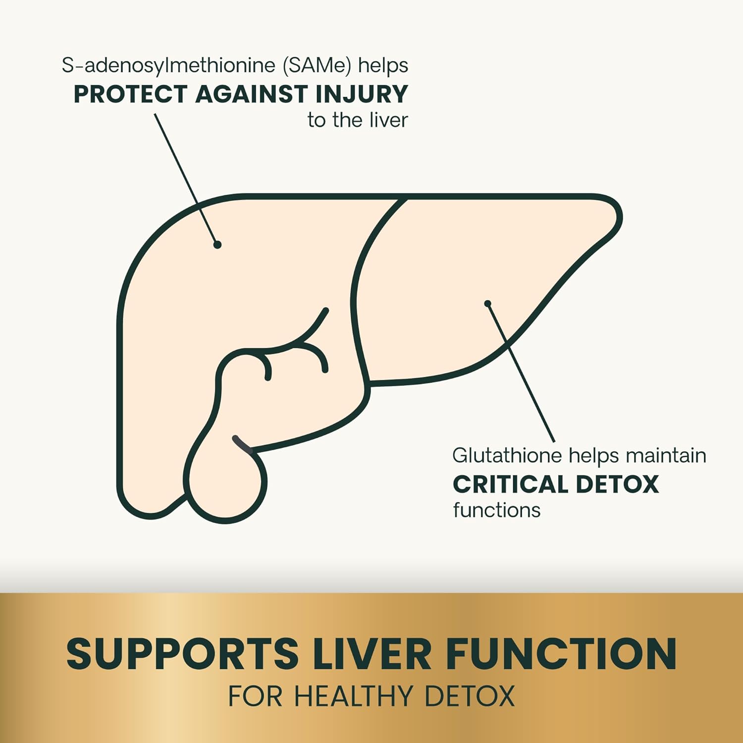 VetriScience Same Liver Health Tablets for Cats & Small Dogs – 90 mg S-Adenosyl Methionine Liver Support Supplement, Methionine Health and Detox Supplement, Glutathione Antioxidant, Tablets, 30 Cnt