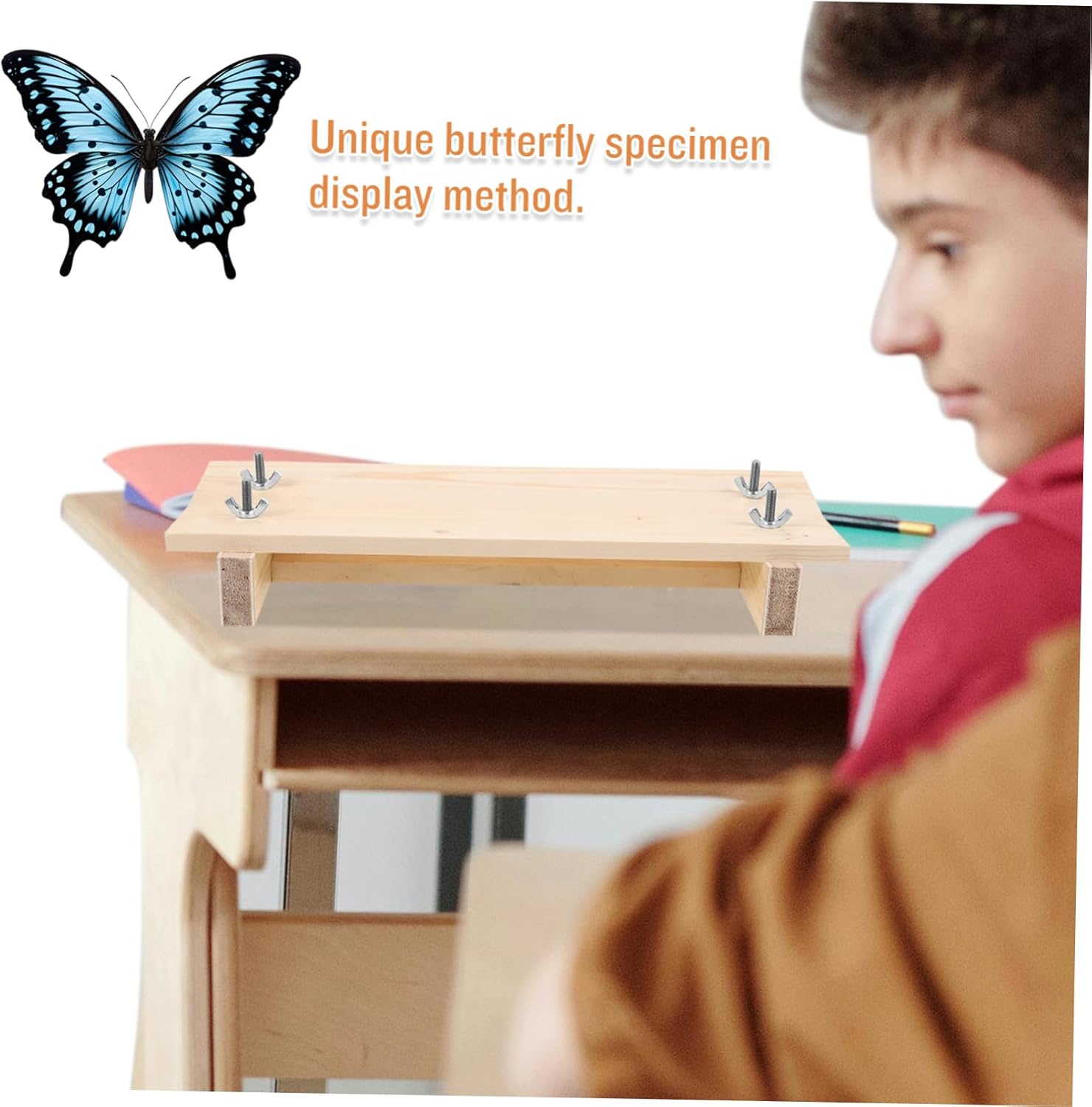 5個 羽を広げた蝶の標本 バタフライピンボード 卓上用標本ボード 標本展示供給 蝶の羽板 実験教材 実験台 昆虫ピン留めボード 虫用