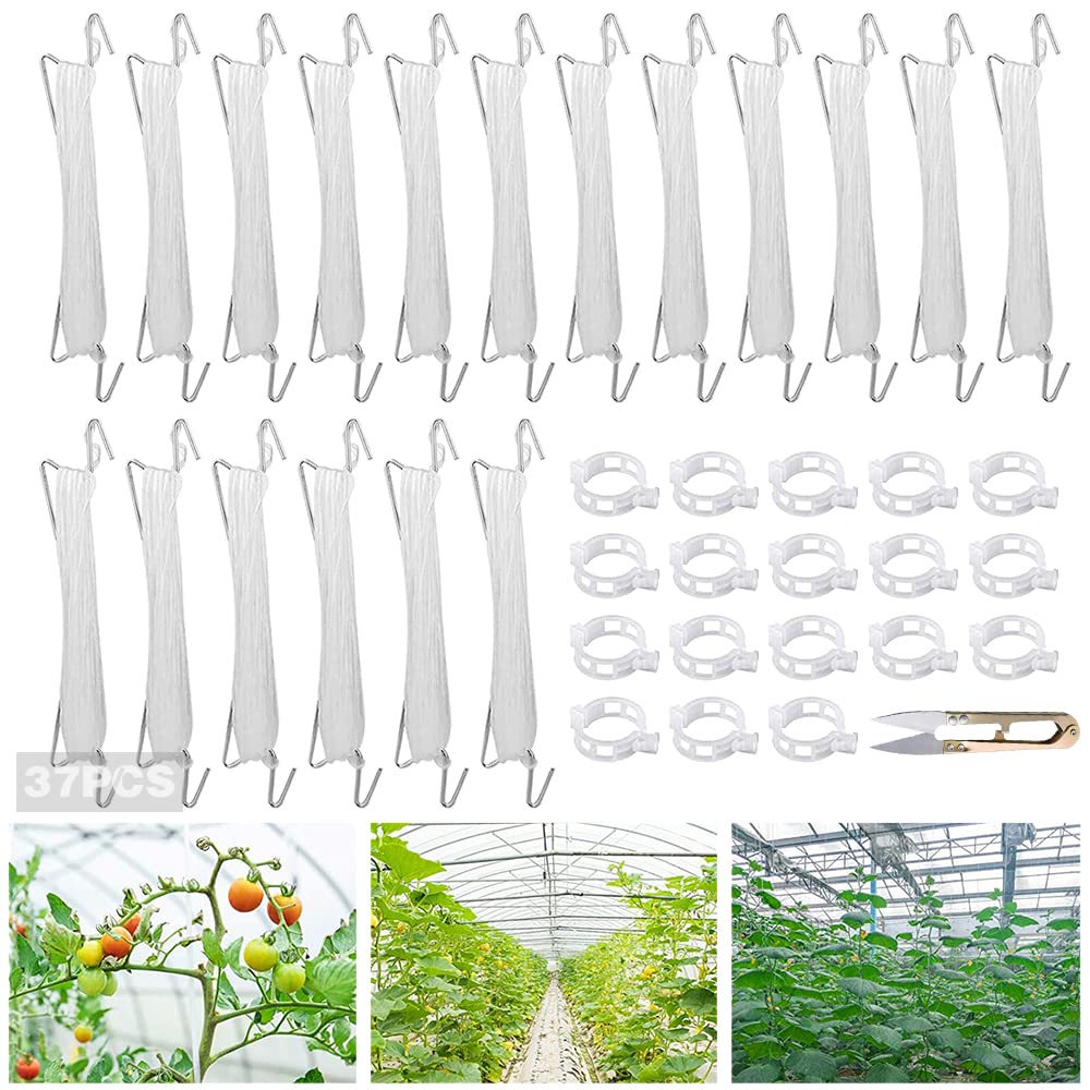 Druuzyl 18 Crochets Tomates Jardin Métal + 18 Clips + Corde 10m - Support Plantes Grimpantes Tomates Concombres