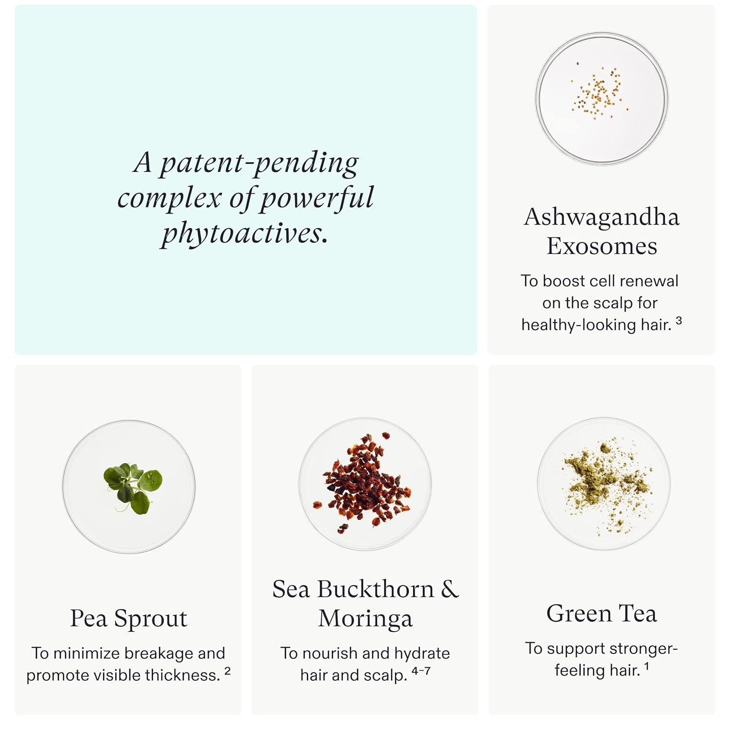 Nutrafol Growth Activator Hair Serum with Patent-Pending Ashwagandha Exosome Technology : Beauty & Personal Care