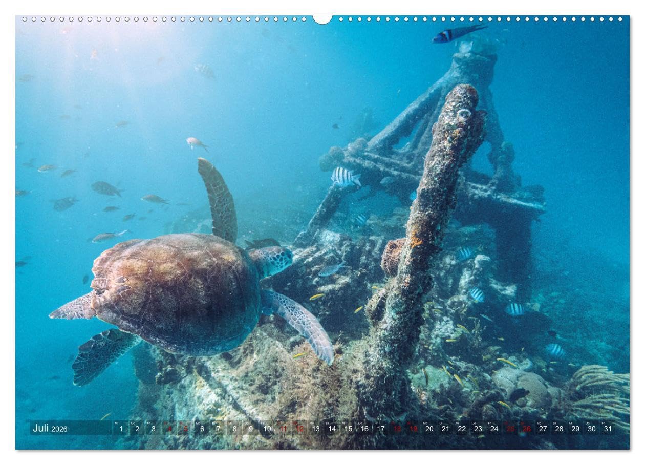 Karibik - Traumstrände (Wandkalender 2026 DIN A2 quer), CALVENDO Monatskalender: Sonne, Meer und karibische Traumstrände (CALVENDO Natur)