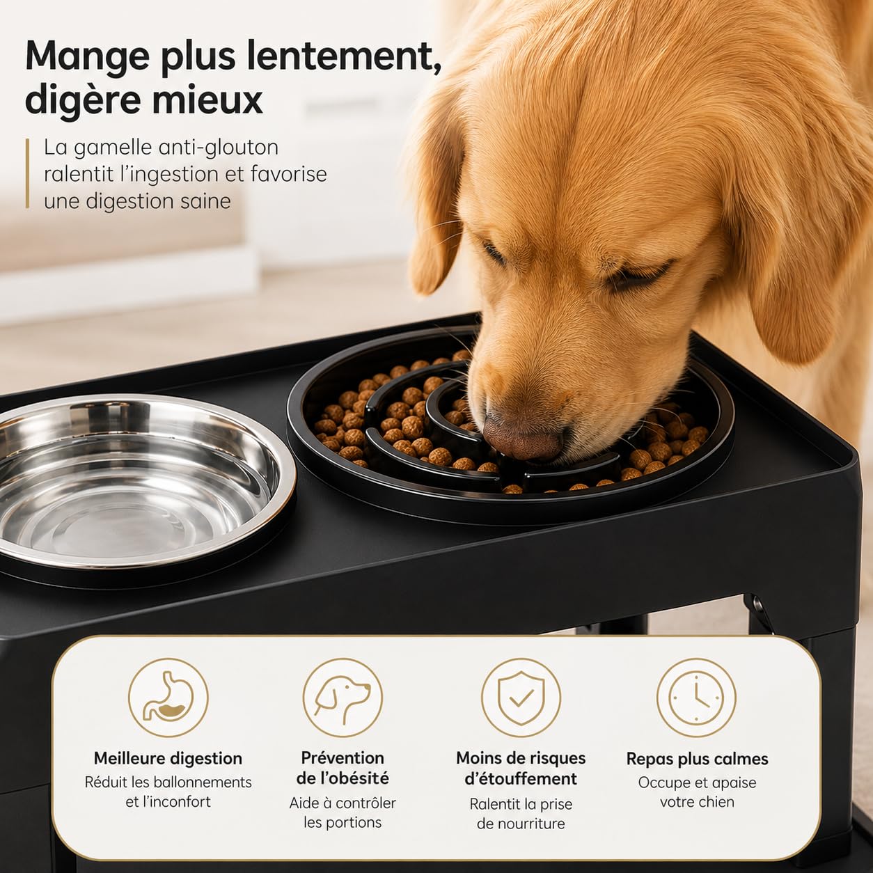Gamelle Surélevée pour Chien Réglable – 5 Hauteurs Ergonomiques – Améliore Posture & Digestion – 2 Bols INOX 1200ml + Anti-Glouton 800ml – Tapis Antidérapant – Chiens Petits, Moyens, Grands