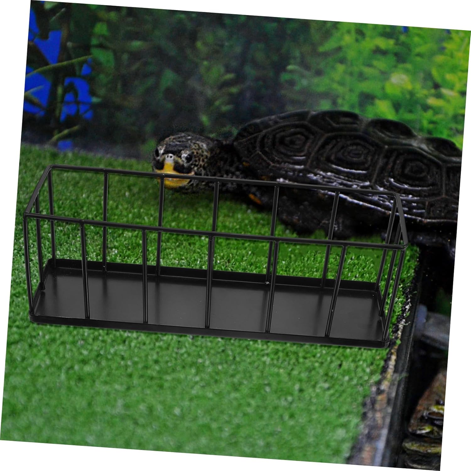 TOYANDONA Portable Reptile Food Tray for Pet Turtle Tortoise Small Dish Mealworm Feeder