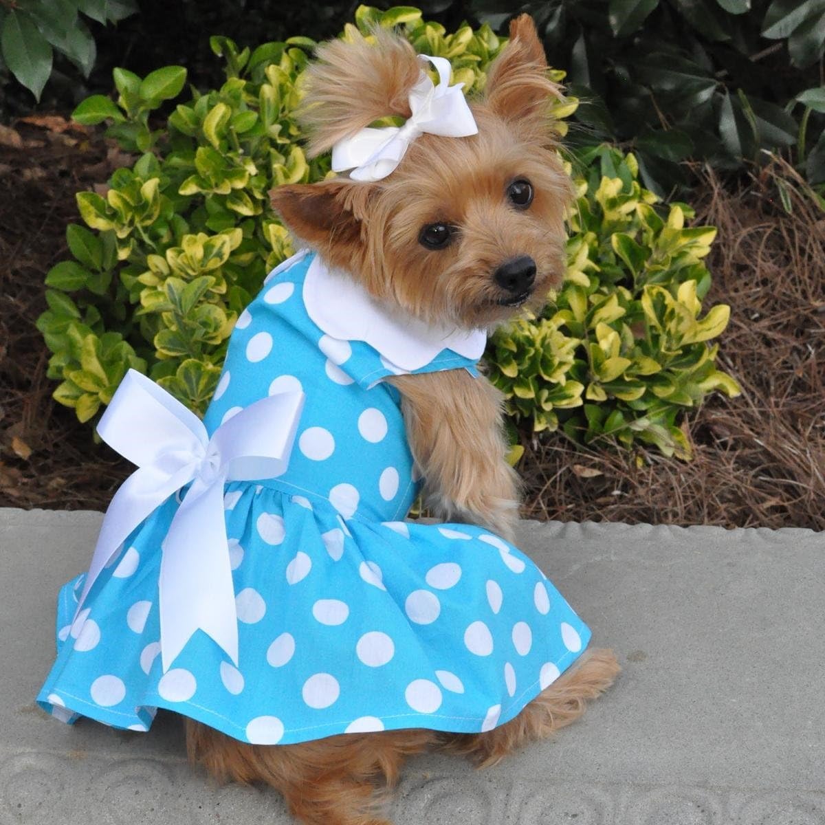 DOGGIE DESIGN Blue Polka Dot Dog Dress with Matching Leash (Small)