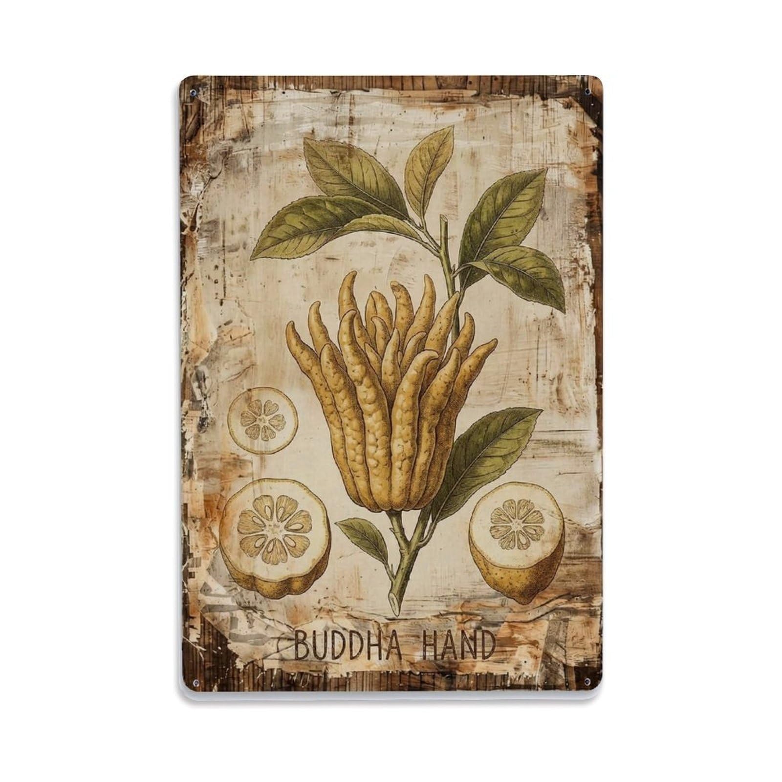 Buddha Hand Citrus Vintage Metal Tin Sign Plaque Wall Decor for Cafe, Club, Garden Metal Poster 8x12Inch