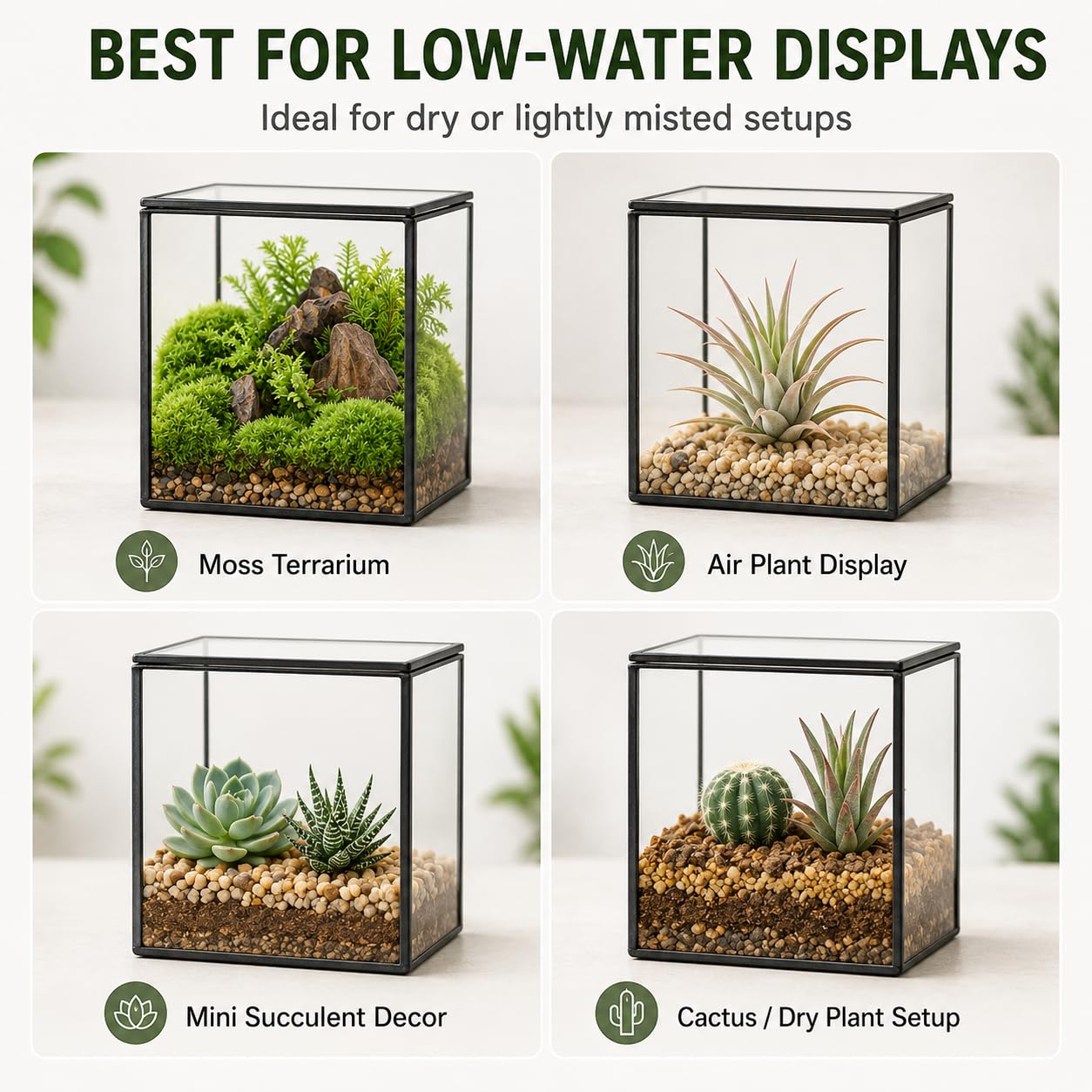 Pequeño terrario cuadrado de vidrio con tapa, maceta, transparente, 11 cm, musgo, suculentas, plantas de aire, minijardín de hadas, marco de metal negro, decoración de plantas de mesa de interior