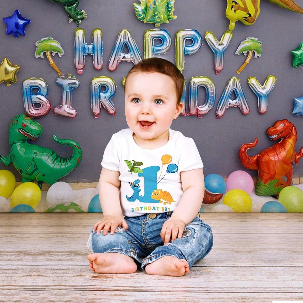 1st Birthday Party T Shirt - Dinosaur Birthday T-Shirt Tee