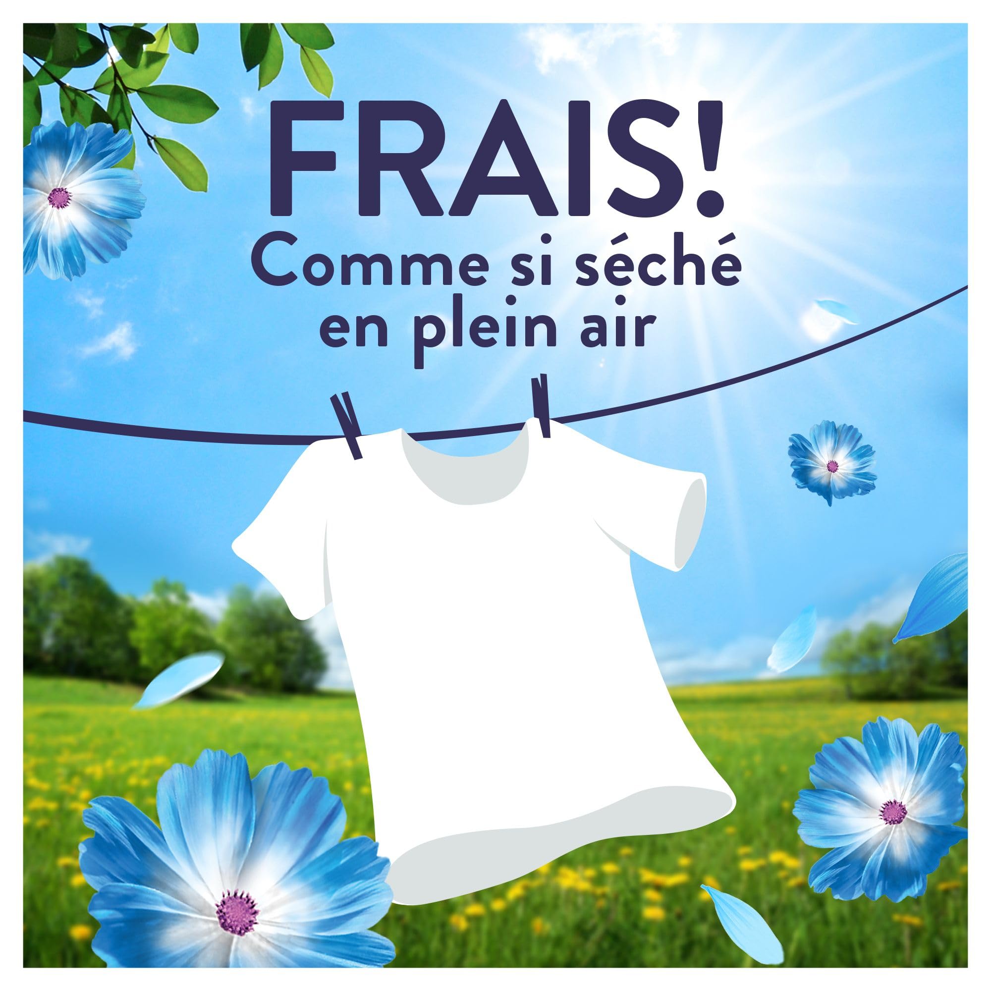 Lenor Fresh Air Adoucissant Fraîcheur Matinale, 216 Lavages (6 x 36 Lavages), Fraîcheur Ultra Concentrée