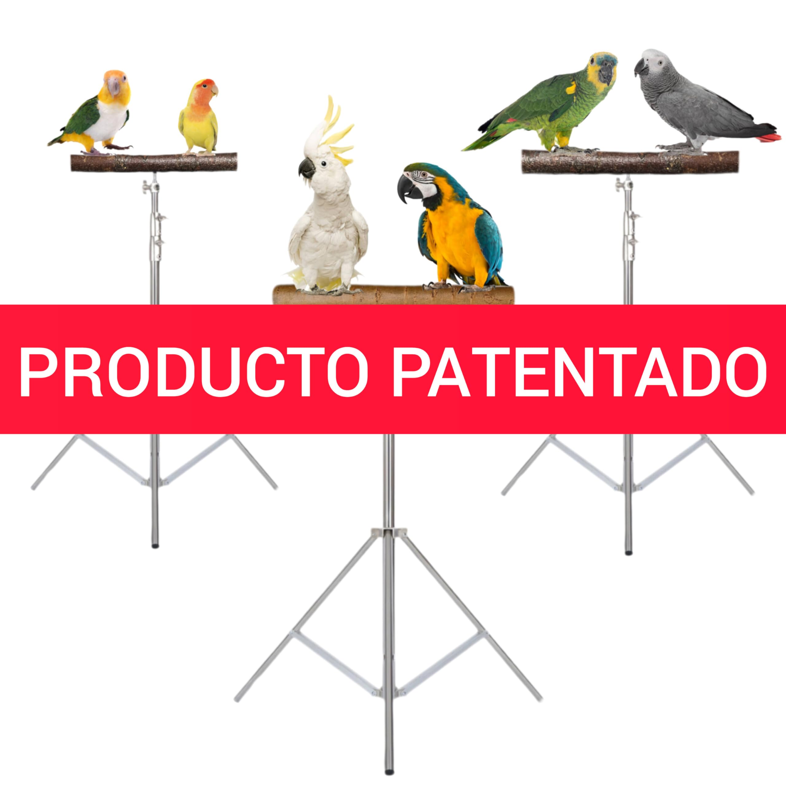 Trípode para Loro yaco, Amazonas, Percha de Vuelo Libre y antiestrés de Aves alejandrinas, posadero de Madera Natural, Juguete Entrenamiento de Loro, Accesorio Reposo de pájaros, (M)