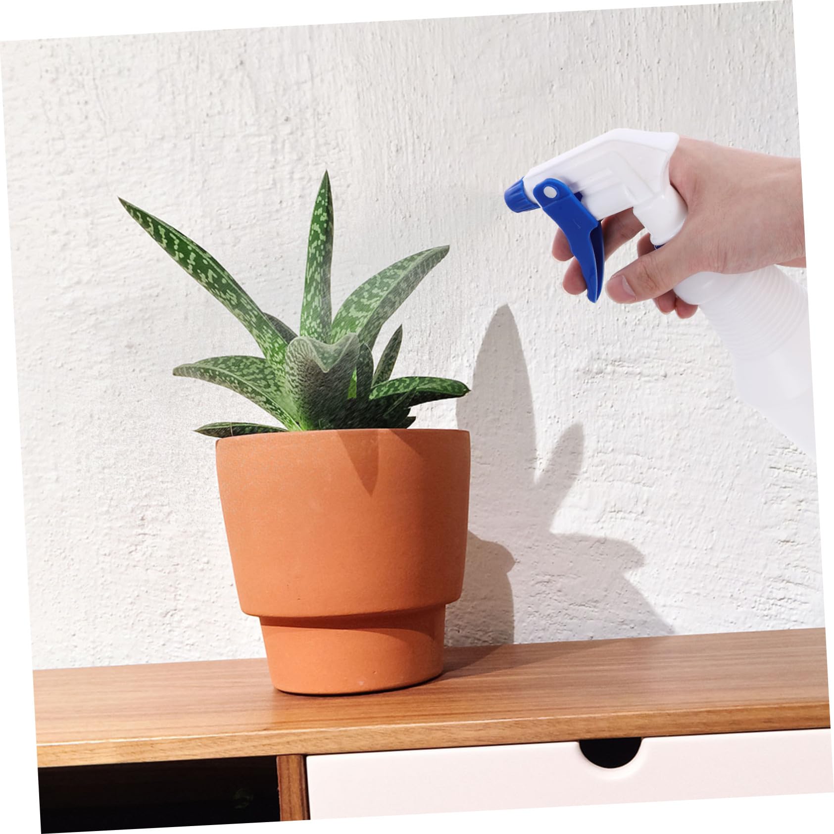 VALICLUD Botellas de Spray Pequeñas de Plástico Recargables 8 Piezas 750 Ml Rociador de Agua para Salón y Riego Plantas sin Fugas Diseño Ligero Color Aleatorio