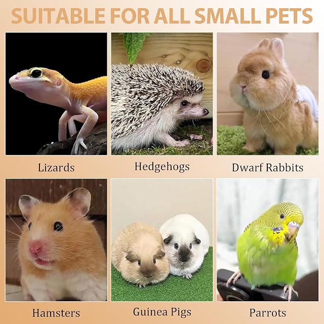 Foto 4 de 8 de ZYEKIU Hamster Accesorios Juguetes Hamster Juguetes para Cobayas