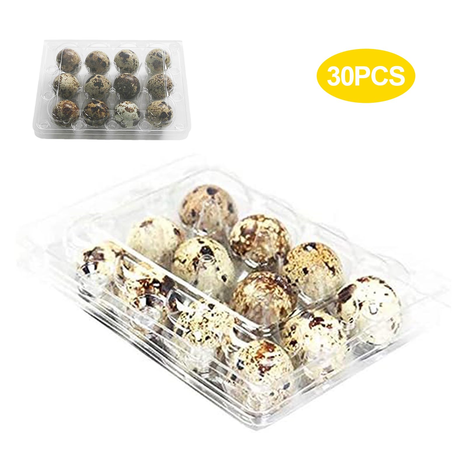 30 cajas de huevos de codorniz, huevos de codorniz, cajas de huevos de codorniz, cajas de huevos, cajas de huevos de codorniz de plástico, caja de huevos transparente para huevos de codorniz