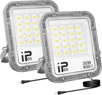 RIGIDON 2Pcs 30W LED Flood Light Outdoor with 1M Plug, 3000LM Super Bright Outdoor Lights 6000K Daylight White IP66 Waterproof Security Lights for Garden, Garage, Yard, Sports Ground, Patio, Porch