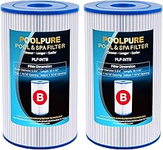 POOLPURE Type B Replacement Pool Filter, Compatible with Intex 29005E Easy Set Swimming Pool Filter Cartridge, 2 Pack