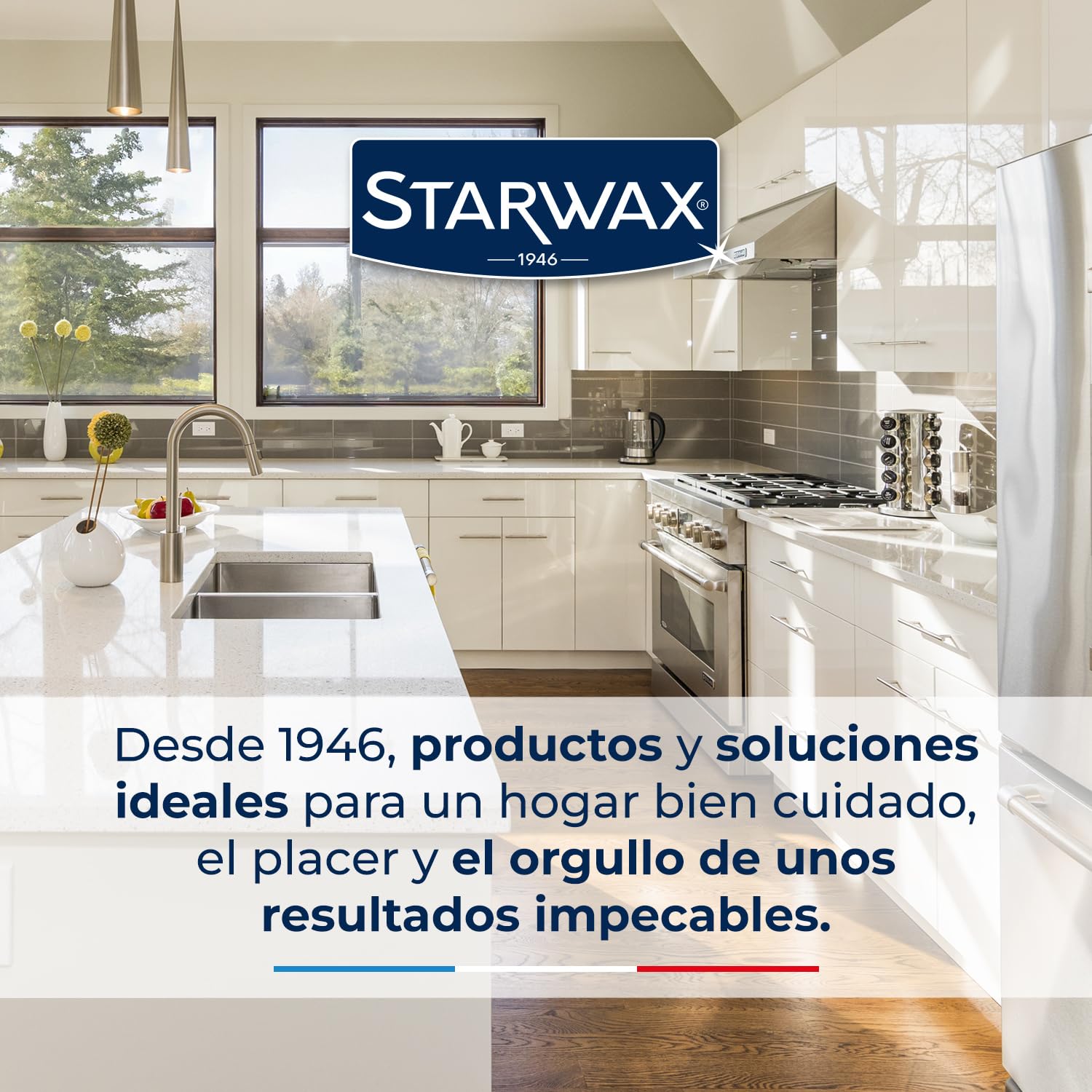 STARWAX – Rascador para placas de vitrocerámica e inducción con cuchilla de recambio de acero inoxidable – Elimina restos de comida y grasa quemada – No raya