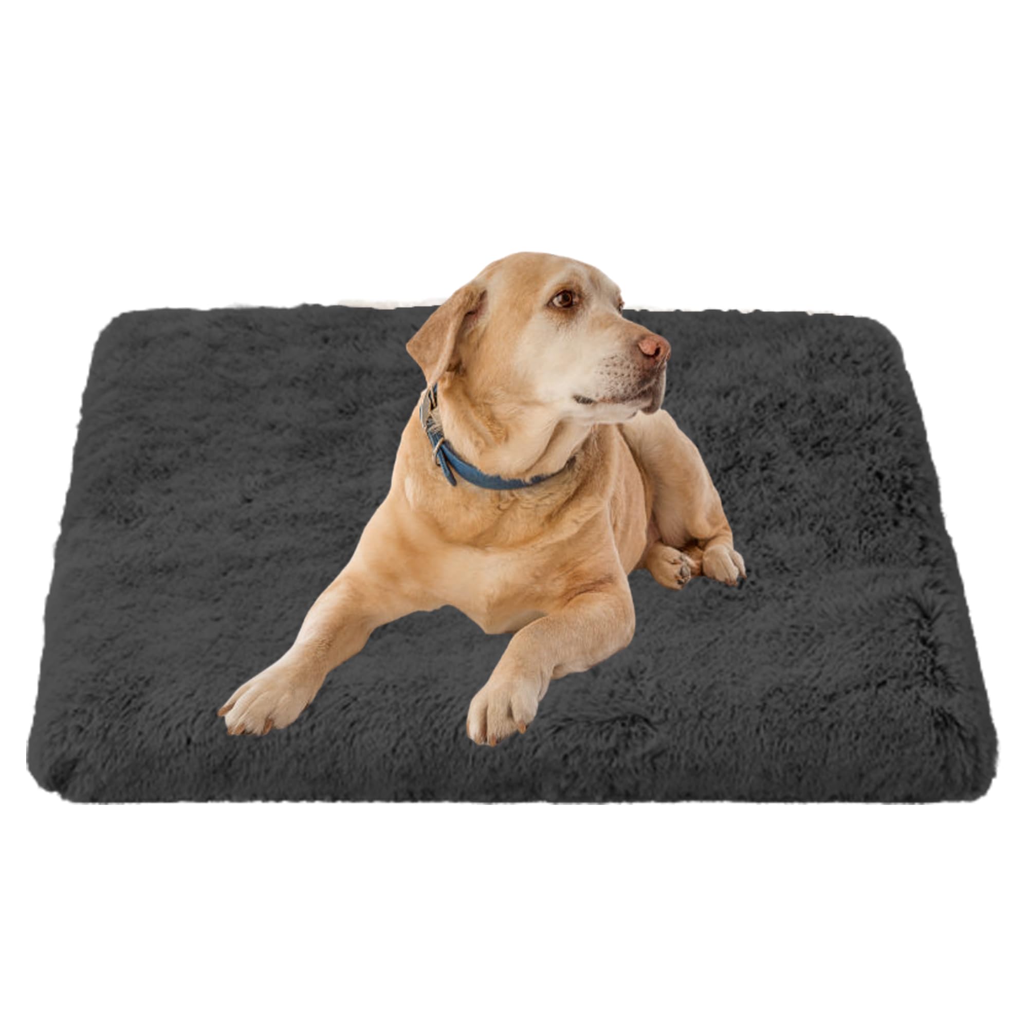 Tapis de cage pour chien - Lit lavable avec fond antidérapant pour chiens de petite, moyenne et grande taille - 120 x 80 x 10 cm - Gris foncé