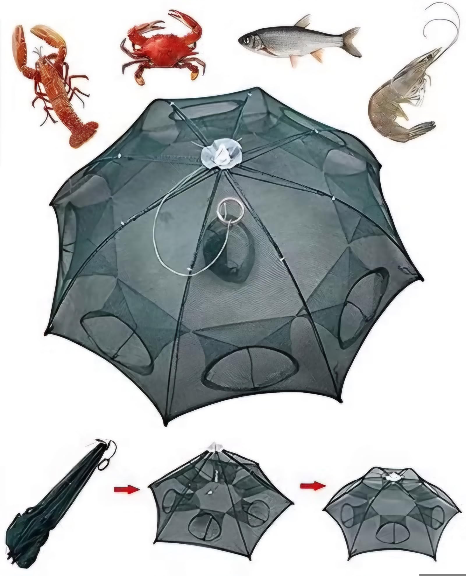 ProFishing Umbrella Fishing Trap Net – Multi Holes for catching Fish, Shrimp, Crabs and Lobsters. (8 Hole) (B0DGF3L3H1) Amazon Price History, Amazon Price Tracker