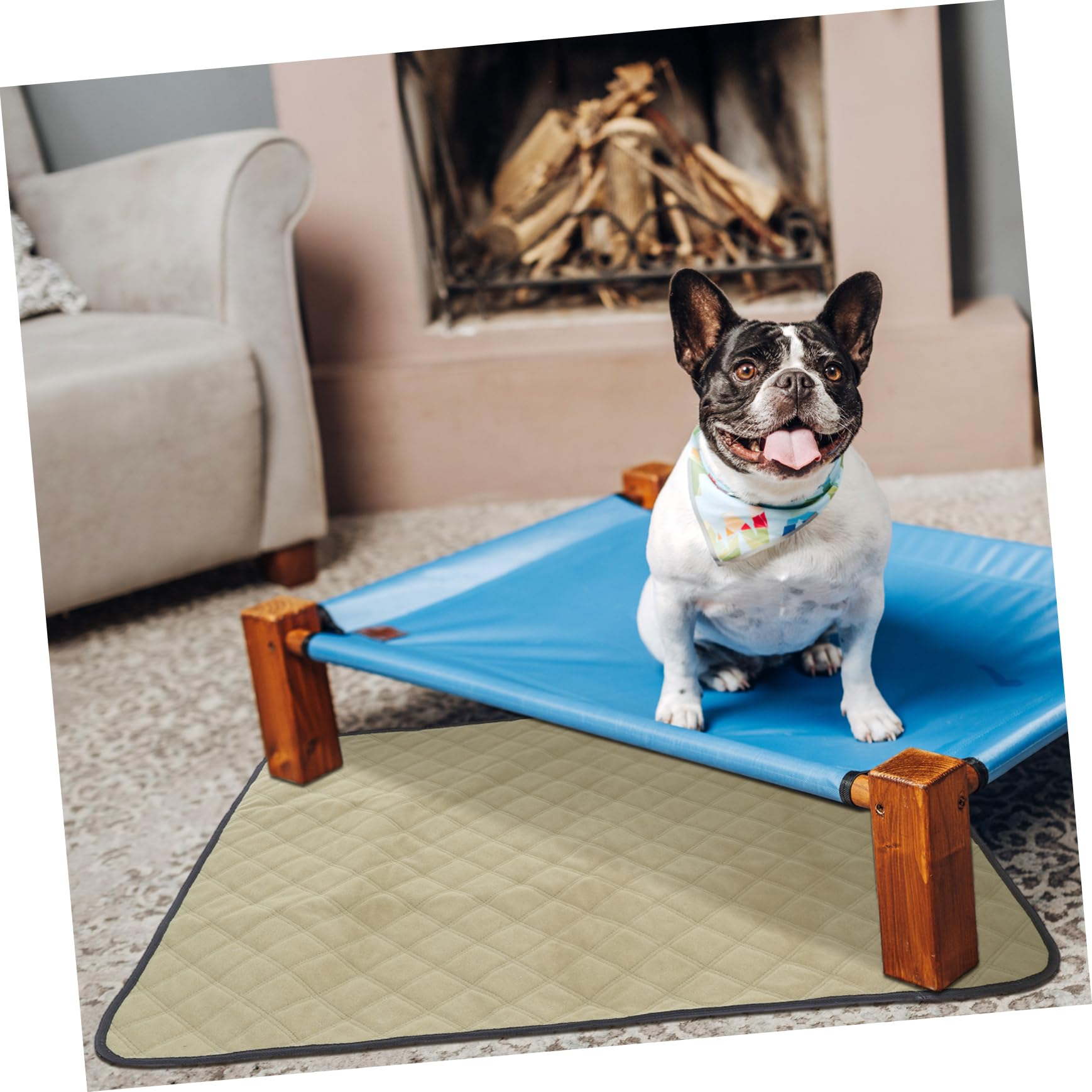 2pezzi Tappetini Assorbenti Per Lavabili Tappetini Riutilizzabili Impermeabili Per Per Per Animali Domestici Per Addestramento e Protezione Mobili