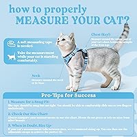 Vista 2 de rabbitgoo Arnés para gatos y correa para caminar, a prueba de escapes, chaleco suave y ajustable para gatos, chaqueta de fácil control transpirable